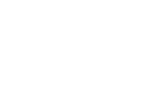 RGV Aviation